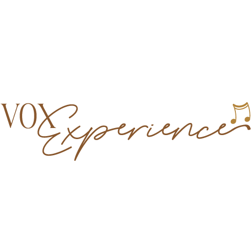 Vox-experience-500×500