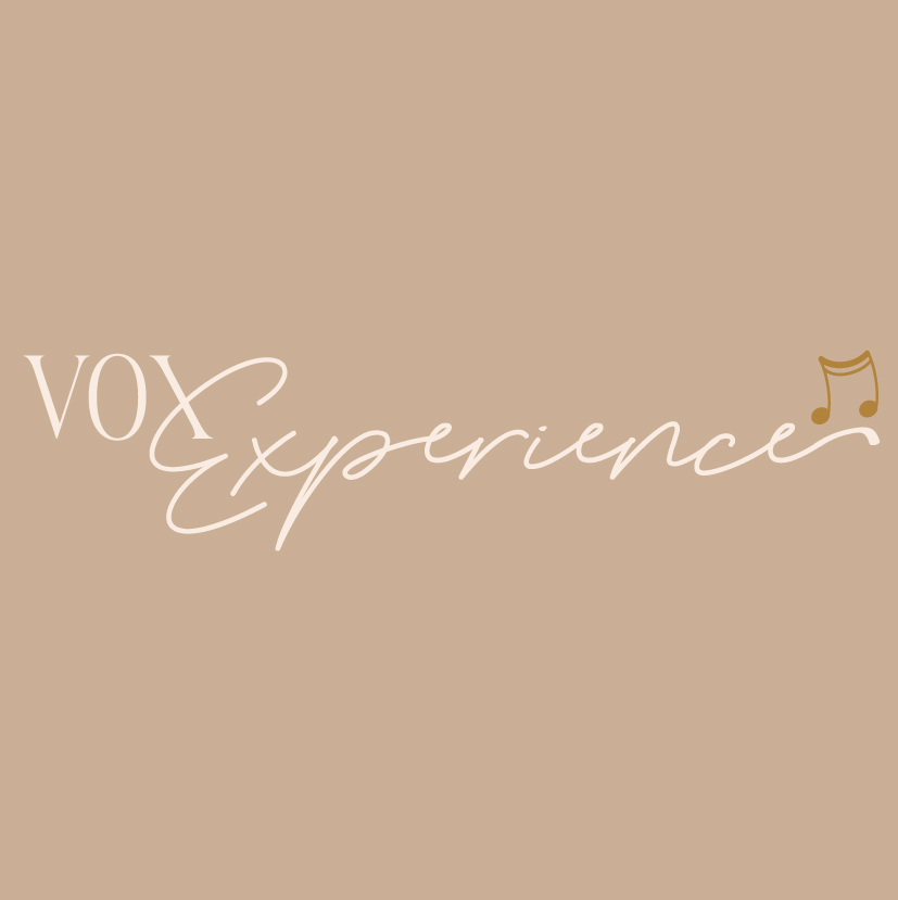 Vox-experience-827×829