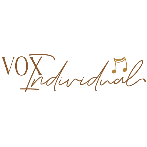 Vox-individual-500×500