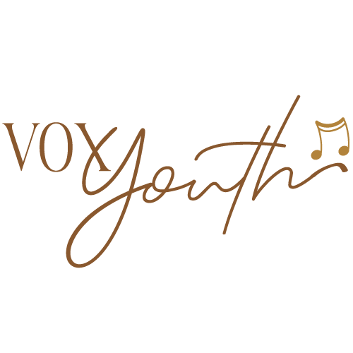Vox-youth-500×500