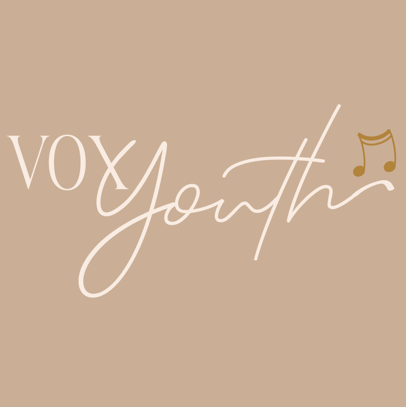 Vox-youth-827×829